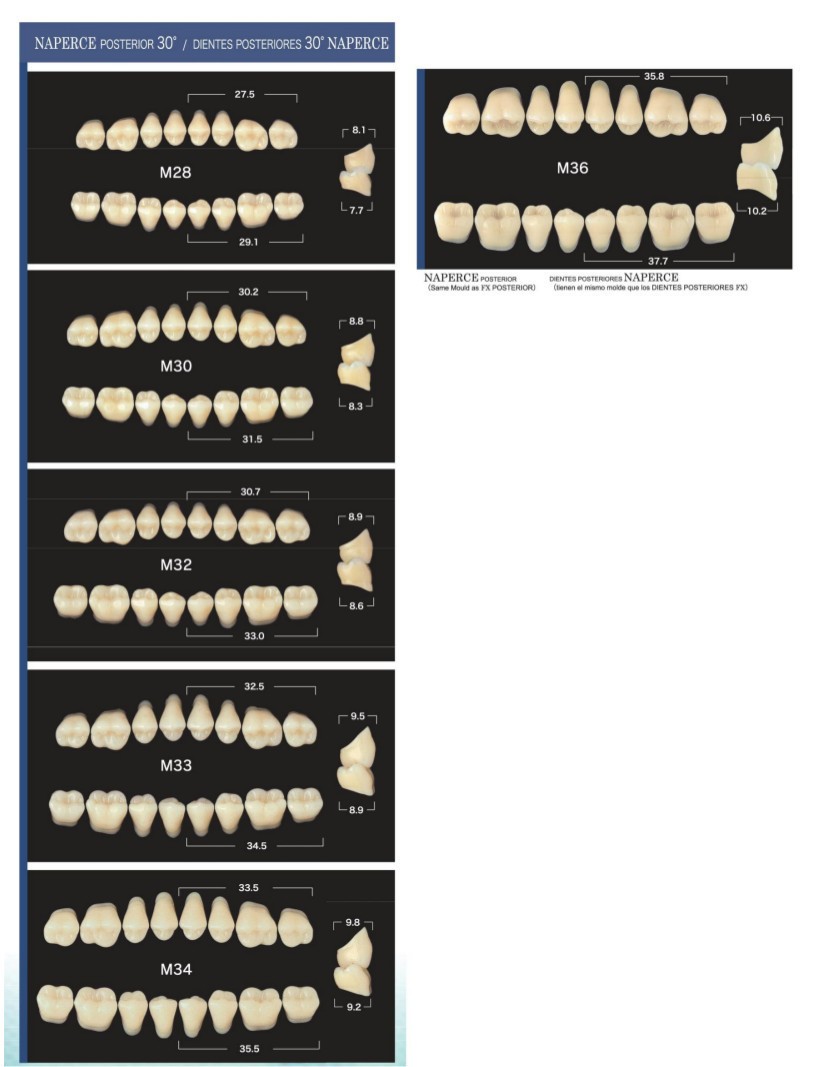 Acrylic teeth Naperce posterior lower A2-M32