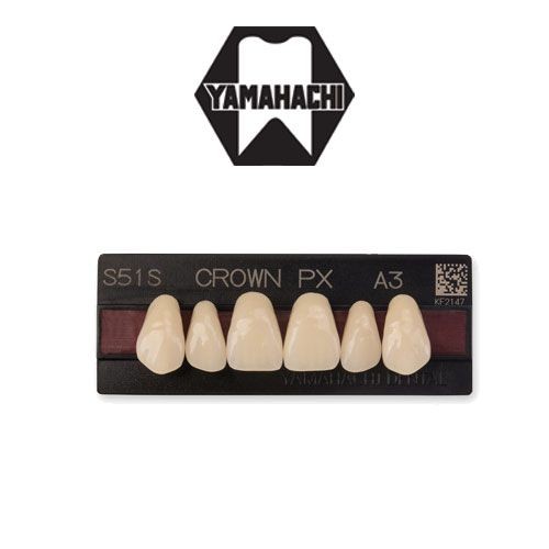 Composite teeth Crown anterior upper A3-S51