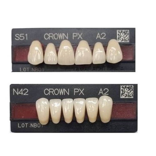 Composite teeth Crown anterior lower A3-N42