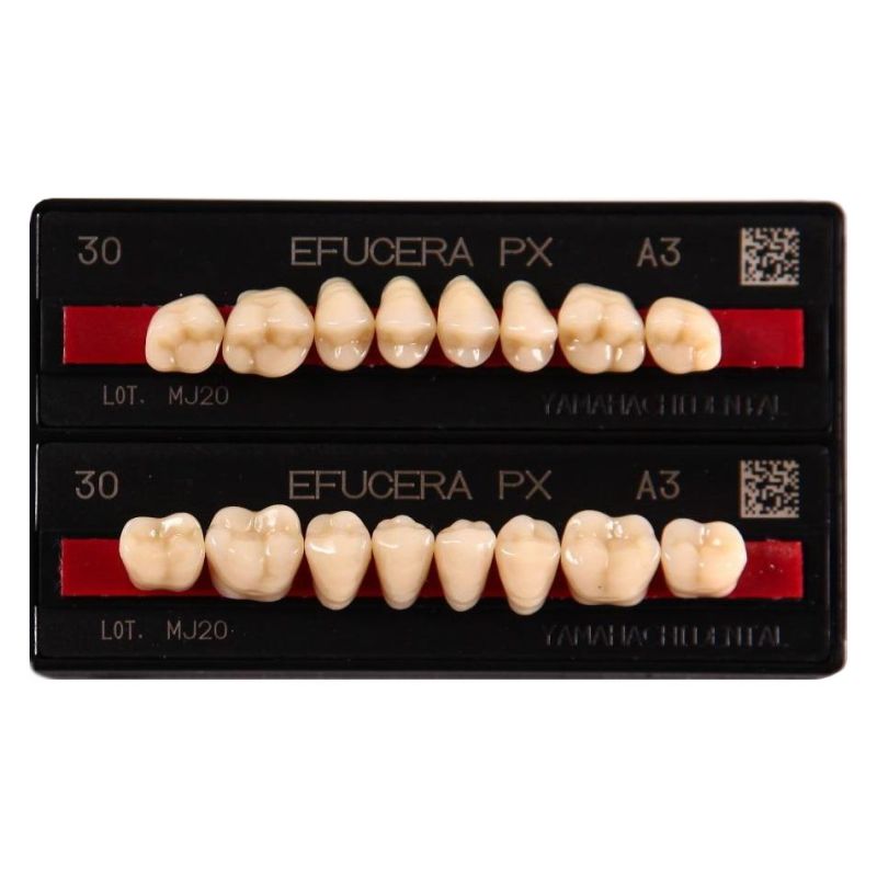 Composite teeth Efucera posterior lower A3-32