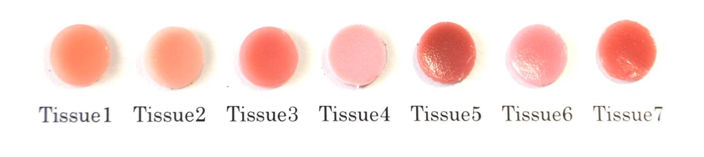 Noritake EX-3 Tissue1 10g